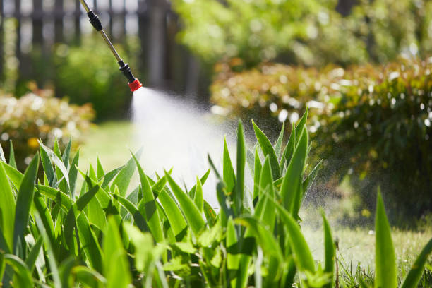 Tamper-Resistant Bait Stations for Rodents in Auburn